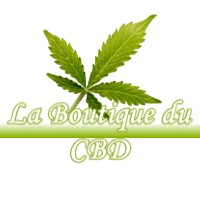 LA BOUTIQUE DU CBD EYRAGUES 